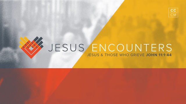 jesus-encounters-jesus-and-those-who-grieve.jpg