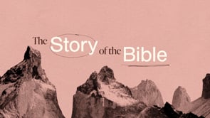 the-story-of-the-bible-story-of-the-bible.jpg