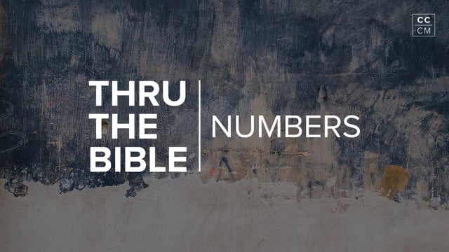 thru-the-bible-numbers-22-36.jpg